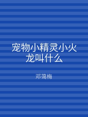 宠物小精灵小火龙叫什么