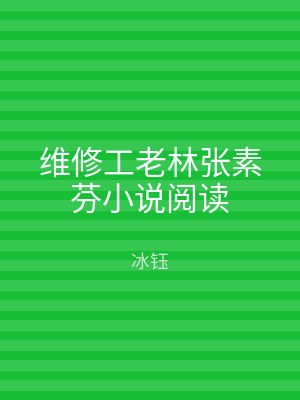 维修工老林张素芬小说阅读
