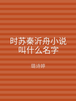 时苏秦沂舟小说叫什么名字