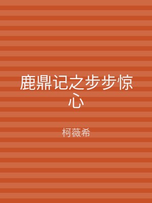 鹿鼎记之步步惊心