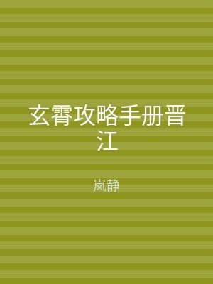 玄霄攻略手册晋江