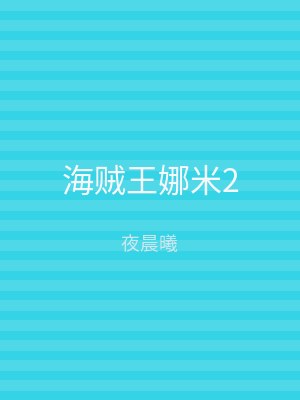 海贼王娜米2