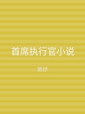 首席执行官小说