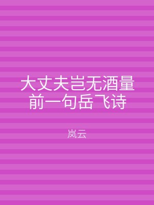 大丈夫岂无酒量前一句岳飞诗
