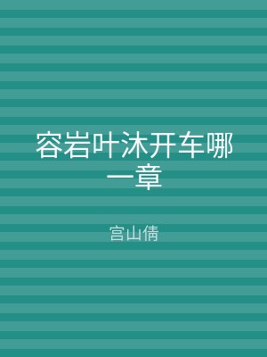 容岩叶沐开车哪一章