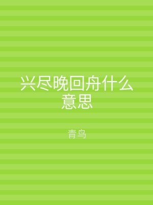 兴尽晚回舟什么意思
