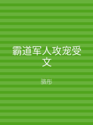 霸道军人攻宠受文