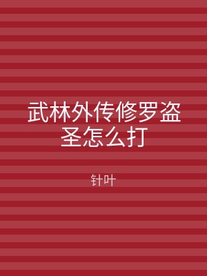 武林外传修罗盗圣怎么打