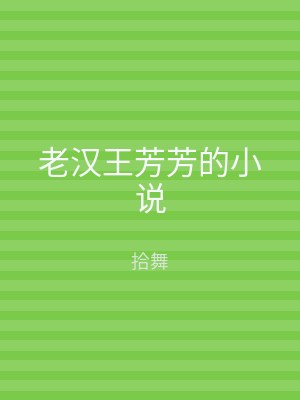 老汉王芳芳的小说