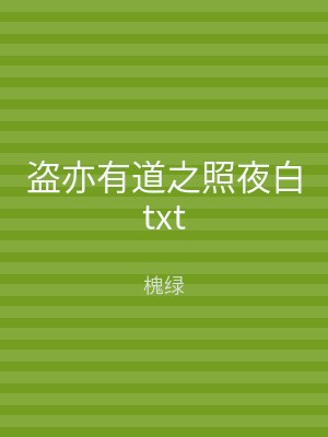盗亦有道之照夜白txt