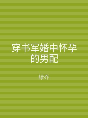 穿书军婚中怀孕的男配