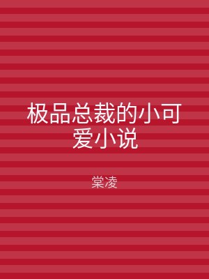 极品总裁的小可爱小说