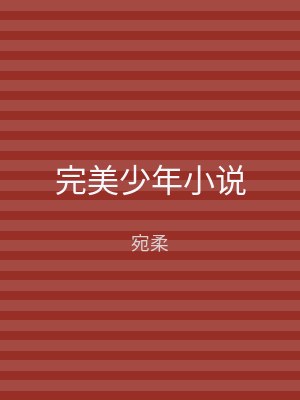 完美少年小说