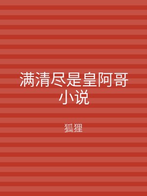 满清尽是皇阿哥小说