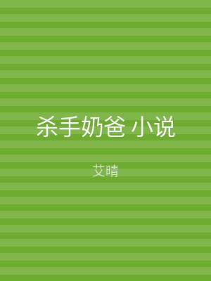 杀手奶爸 小说