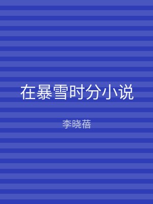 在暴雪时分小说