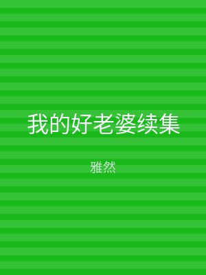 我的好老婆续集