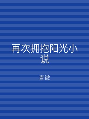再次拥抱阳光小说
