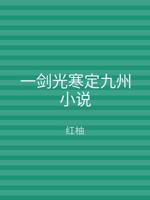 一剑光寒定九州小说
