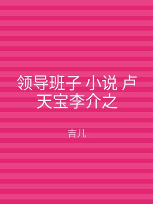 领导班子 小说 卢天宝李介之