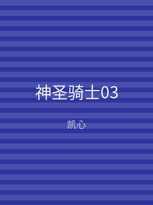 神圣骑士03