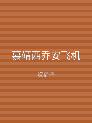 慕靖西乔安飞机
