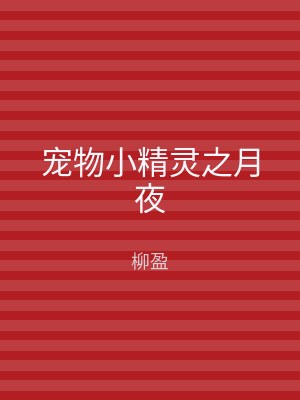 宠物小精灵之月夜