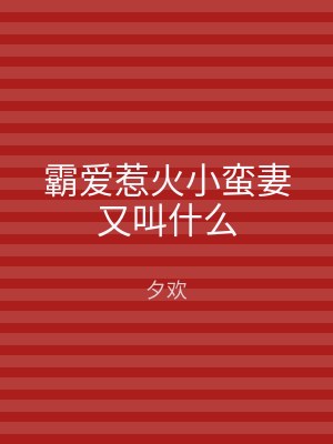 霸爱惹火小蛮妻又叫什么