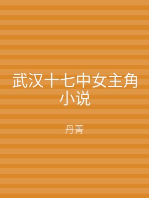 武汉十七中女主角小说
