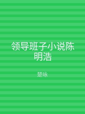 领导班子小说陈明浩