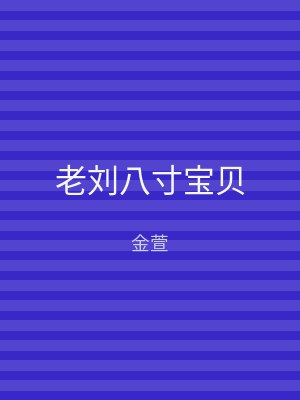 老刘八寸宝贝
