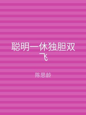 聪明一休独胆双飞