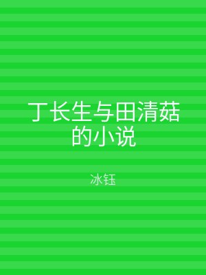 丁长生与田清菇的小说