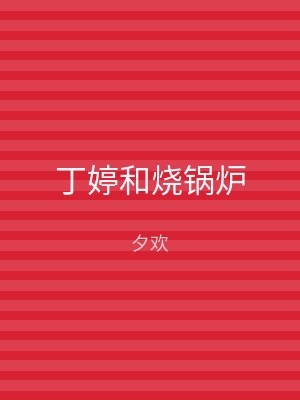 丁婷和烧锅炉