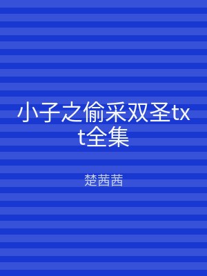 小子之偷采双圣txt全集