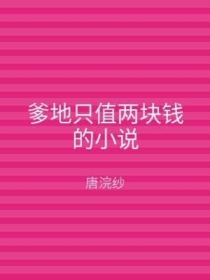 爹地只值两块钱的小说
