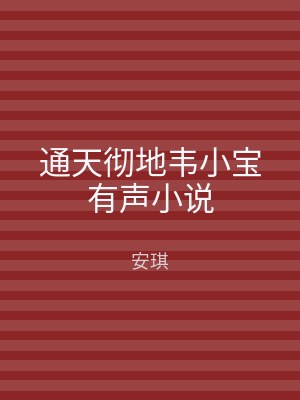 通天彻地韦小宝有声小说