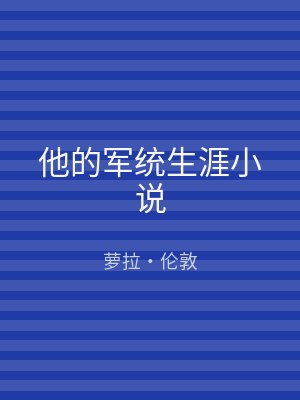 他的军统生涯小说