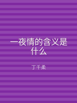 一夜情的含义是什么
