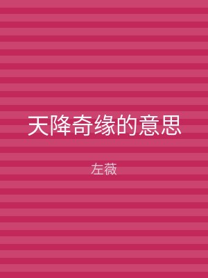 天降奇缘的意思