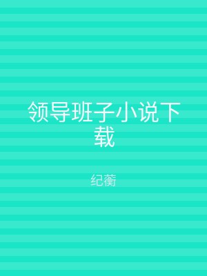 领导班子小说下载