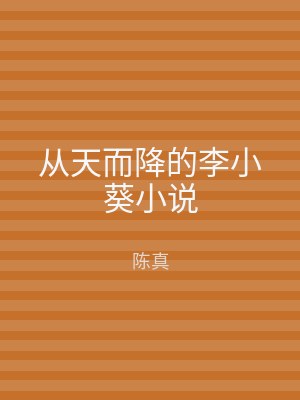 从天而降的李小葵小说