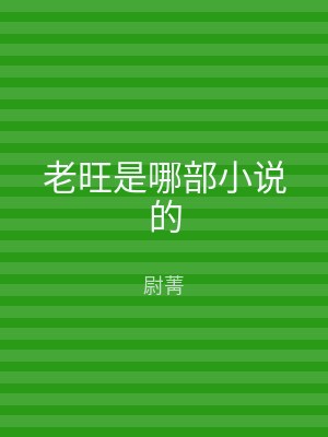 老旺是哪部小说的