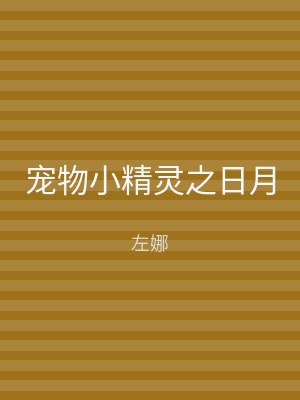 宠物小精灵之日月