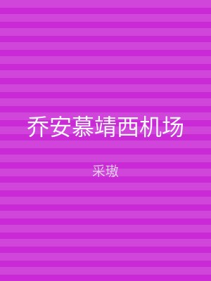 乔安慕靖西机场