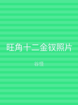 旺角十二金钗照片