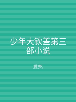 少年大钦差第三部小说
