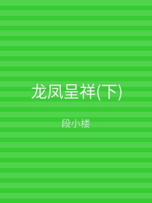 龙凤呈祥(下)