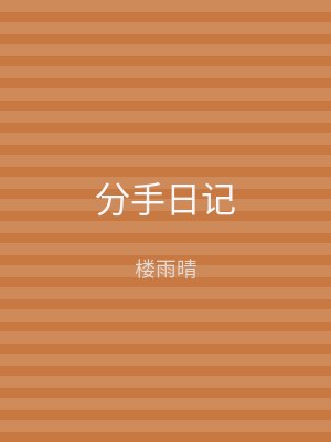 分手日记