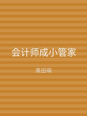 会计师成小管家